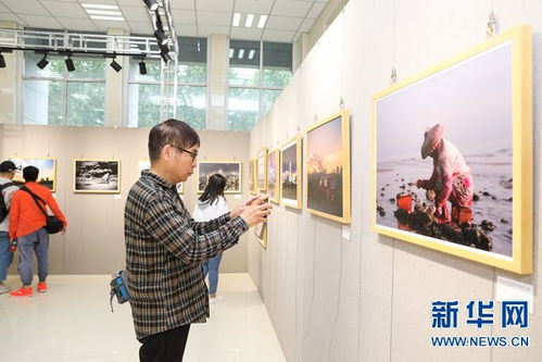 第二届河南高校摄影大赛颁奖暨作品展在郑州举行
